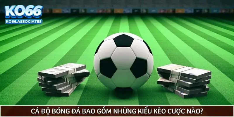 ca-do-bong-da-bao-gom-nhung-kieu-keo-cuoc-nao